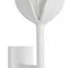 Alberto Wall Sconce