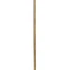Clove Stem Floor Lamp -Lighting Promotion Store Product 844717025129 Image 1